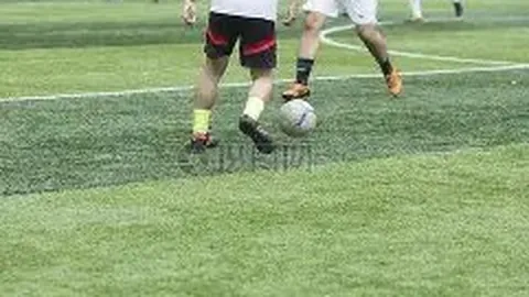 开云体育 产品 103618 dvl