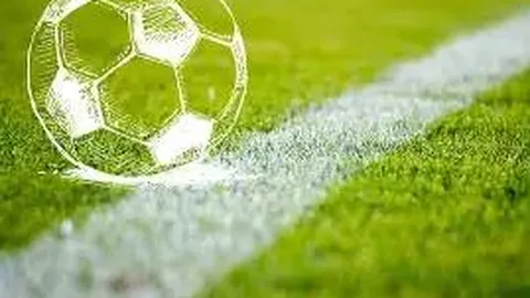 开云体育 资讯 123520 2ft