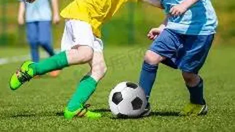 开云体育 资讯 122403 mr4