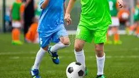 开云体育 资讯 103328 sts