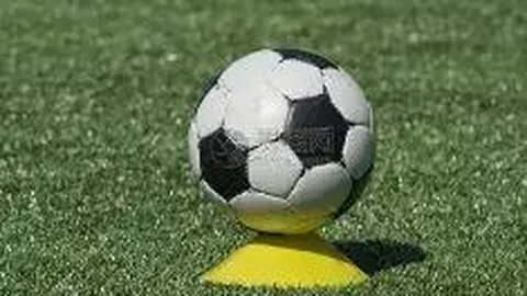 “M7世界总决赛新闻发布盛典举行，揭秘开幕式及其他关键细节”