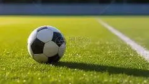 亚洲杯男单四强争夺战：户上隼辅以0-4败北，无缘四强